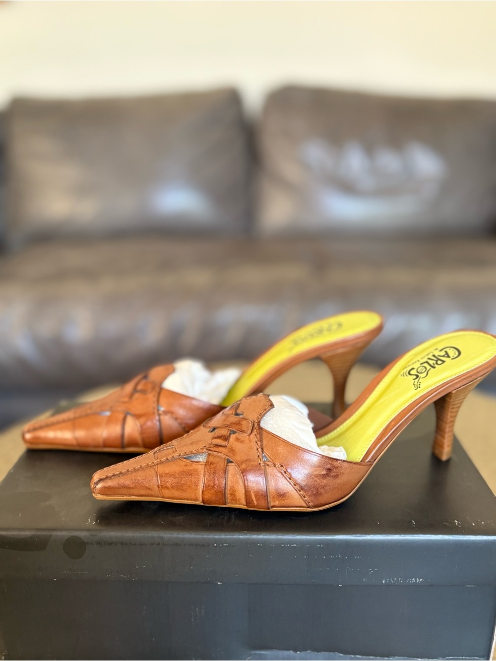 Y2K Carlos by Carlos Santana Strut Honey Leather Pointed Toe Mule Heels 6M NWT